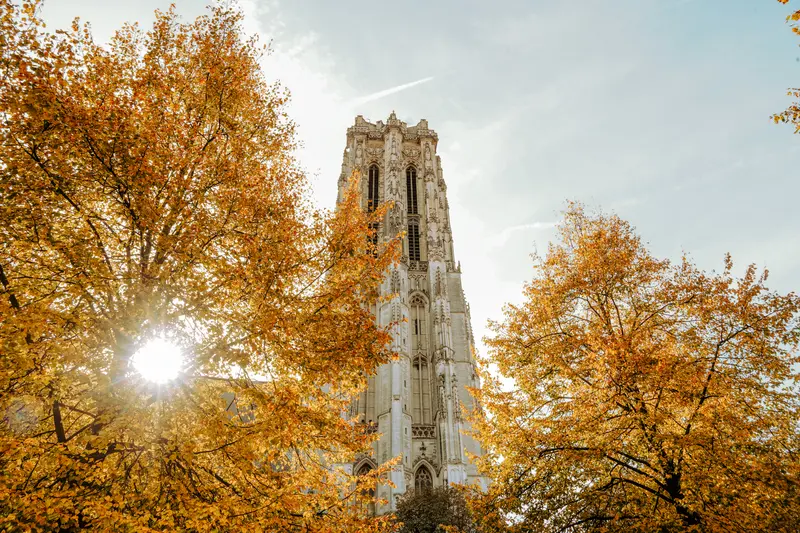Heerlijke Herfst