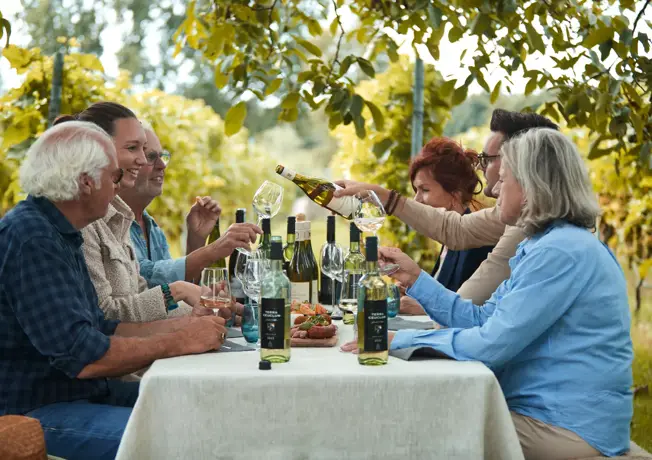 Weinprobe inmitten der Weinberge.