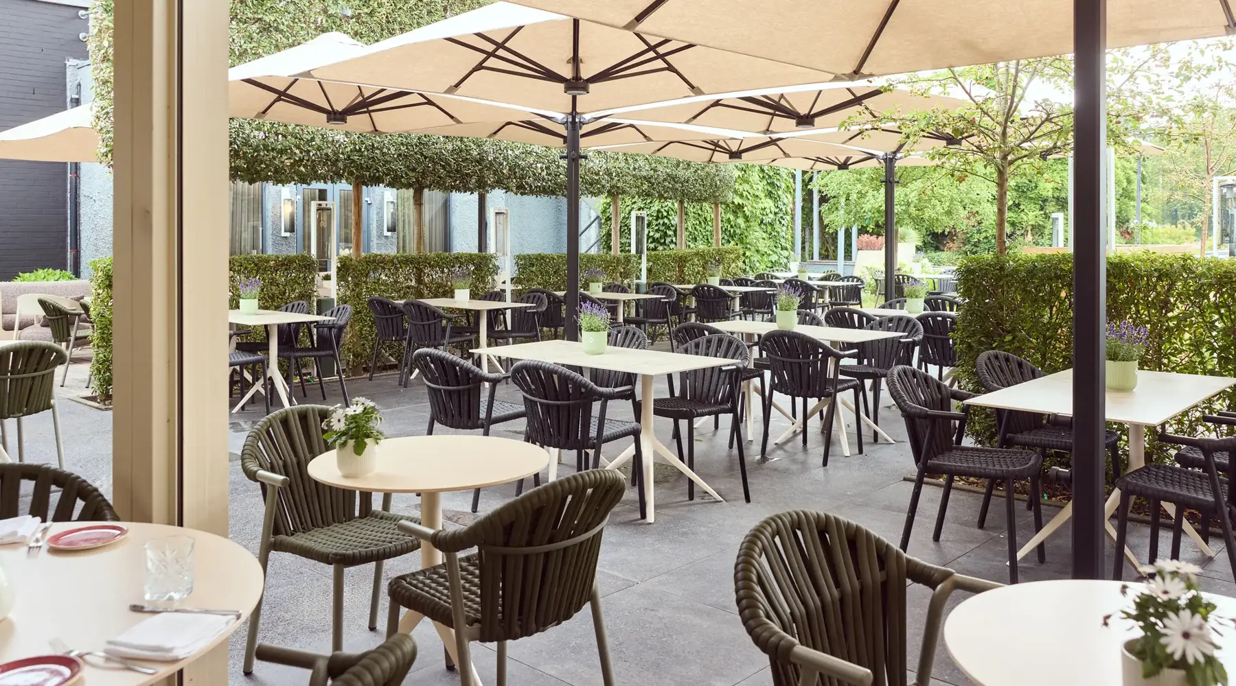 Terras Nest