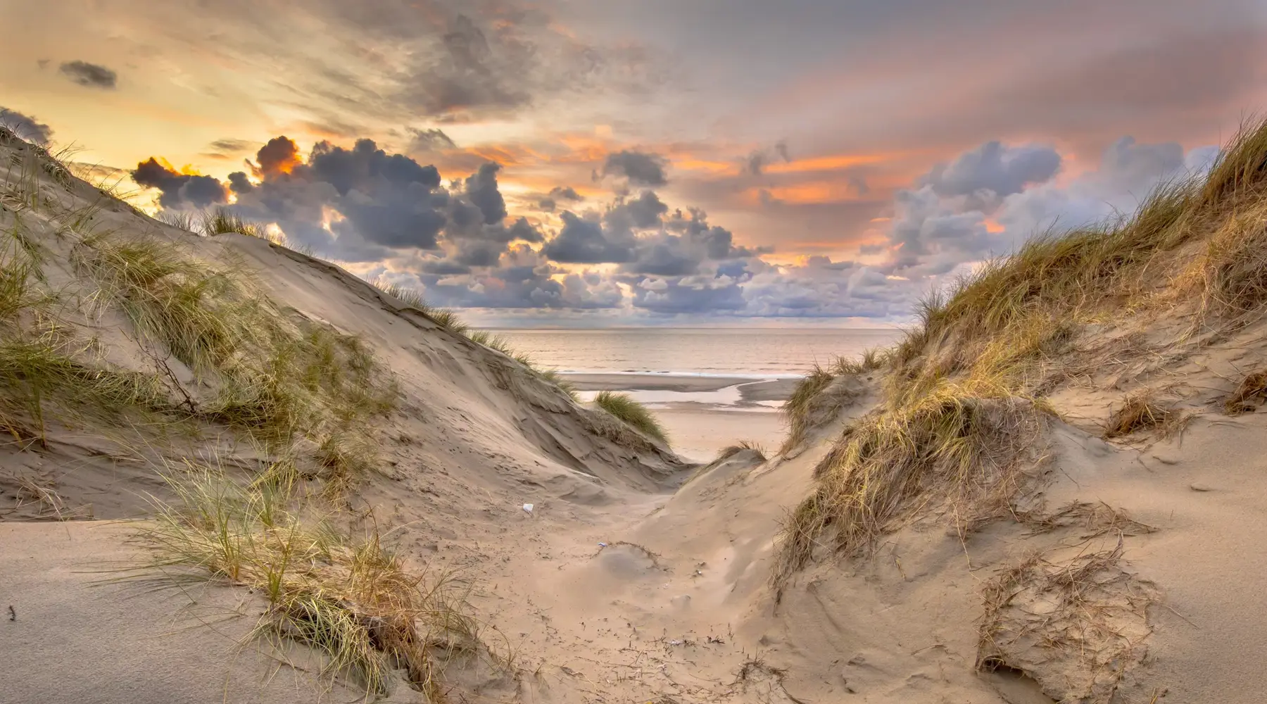 vlieland dagtocht