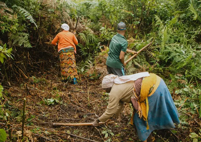 Go-Wald-Projekt in Madagaskar