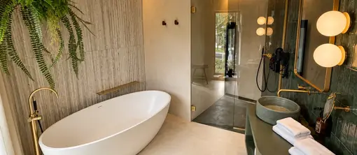 amazonia suite