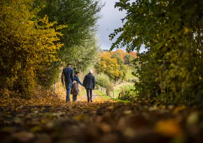 Wandelen