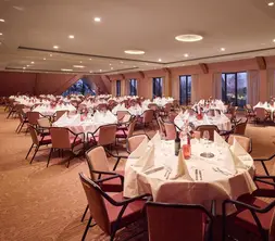 VD5&VD6 diner