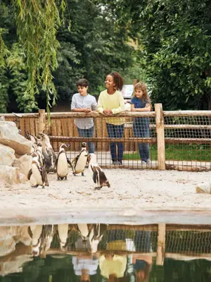 Children at the zoo