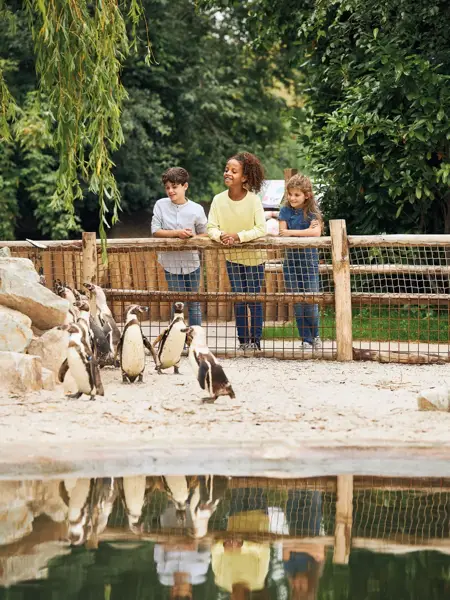 Kinderen in de dierentuin