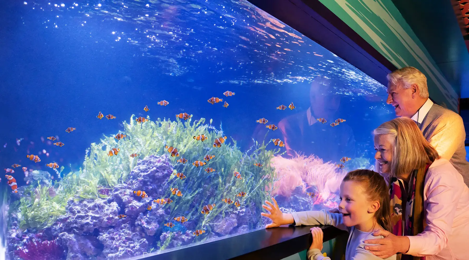 Sealife