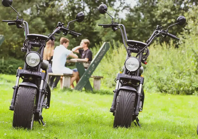 Hund auf einem Wagen mit Koffer.