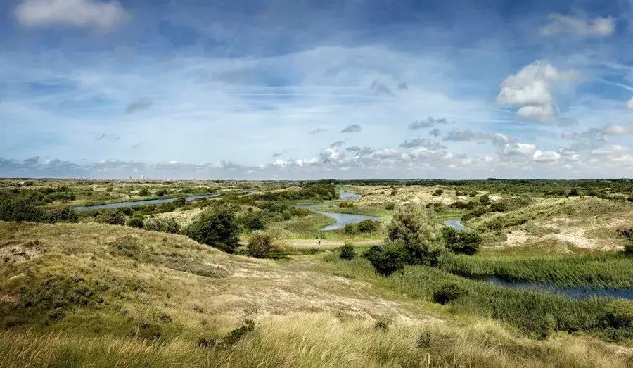 Amsterdamse Waterleidingduinen | Duinen | Natuur