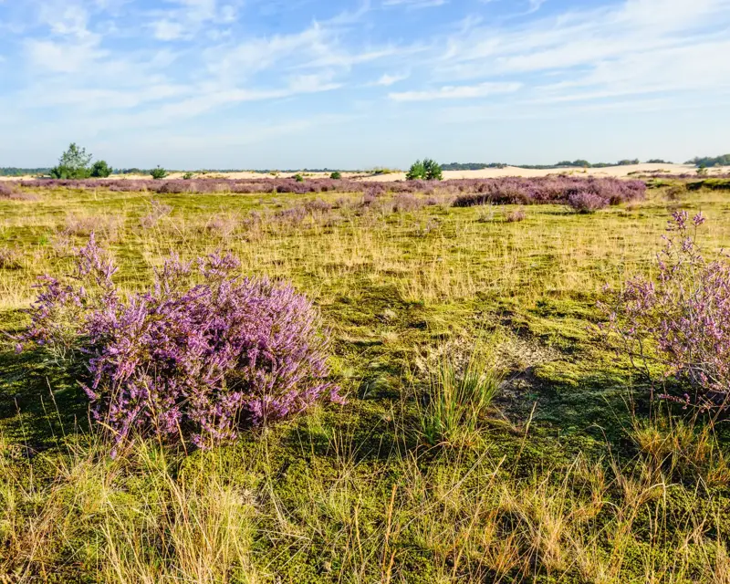 breda omgeving