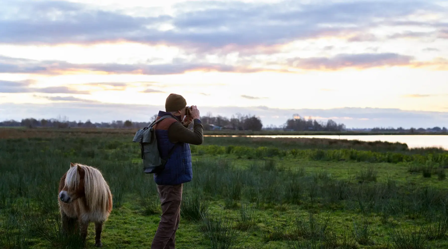 Friesland