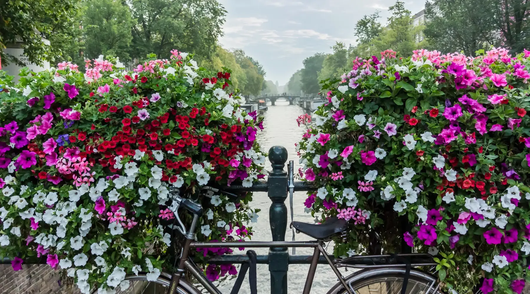 Blumenkanal Amsterdam