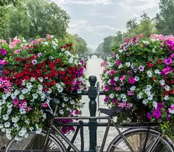 Flower Canal Amsterdam