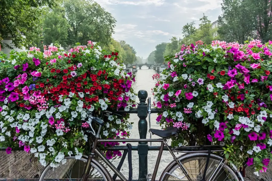 Flower Canal Amsterdam