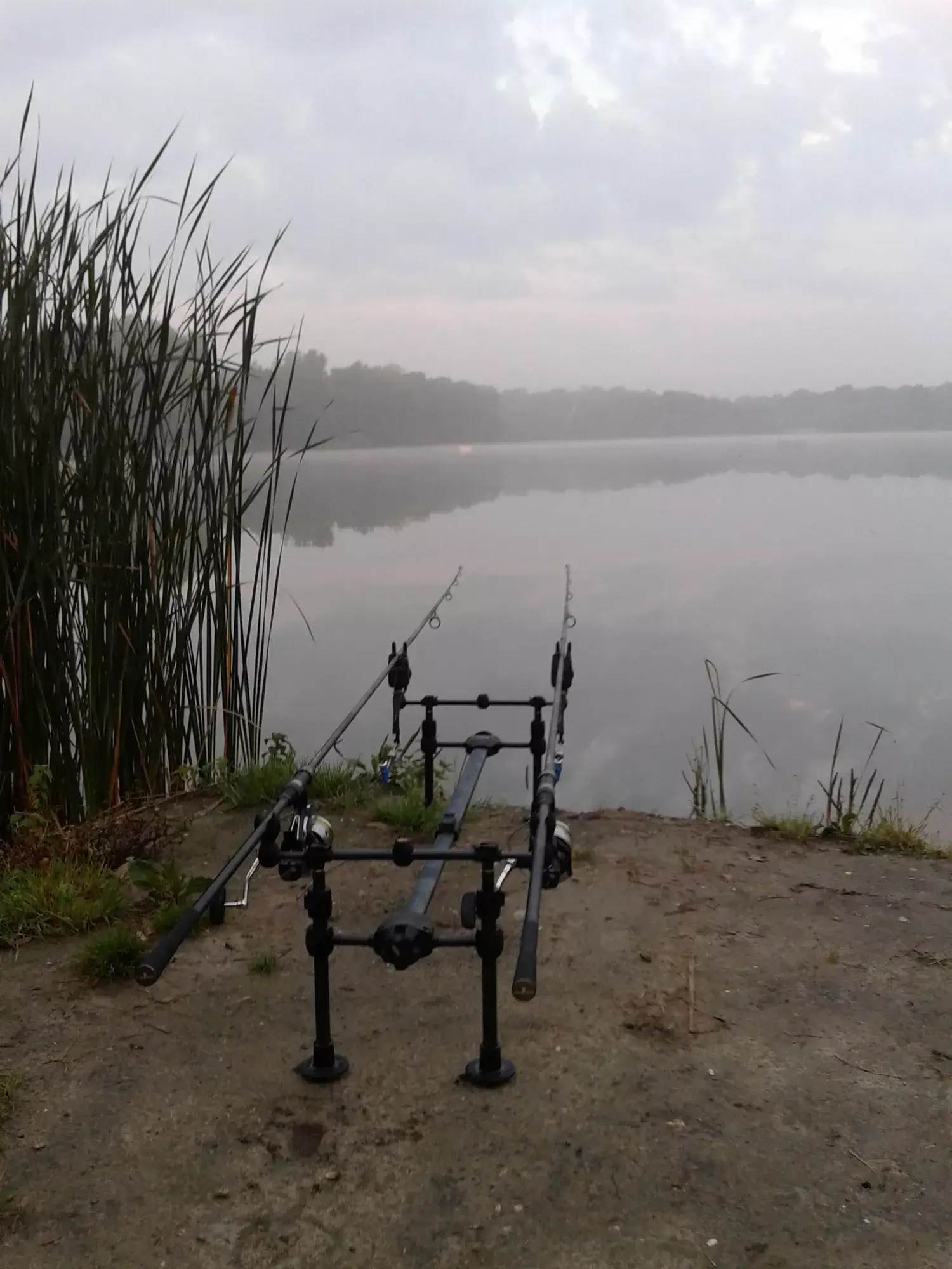 Jungen, die am See angeln.