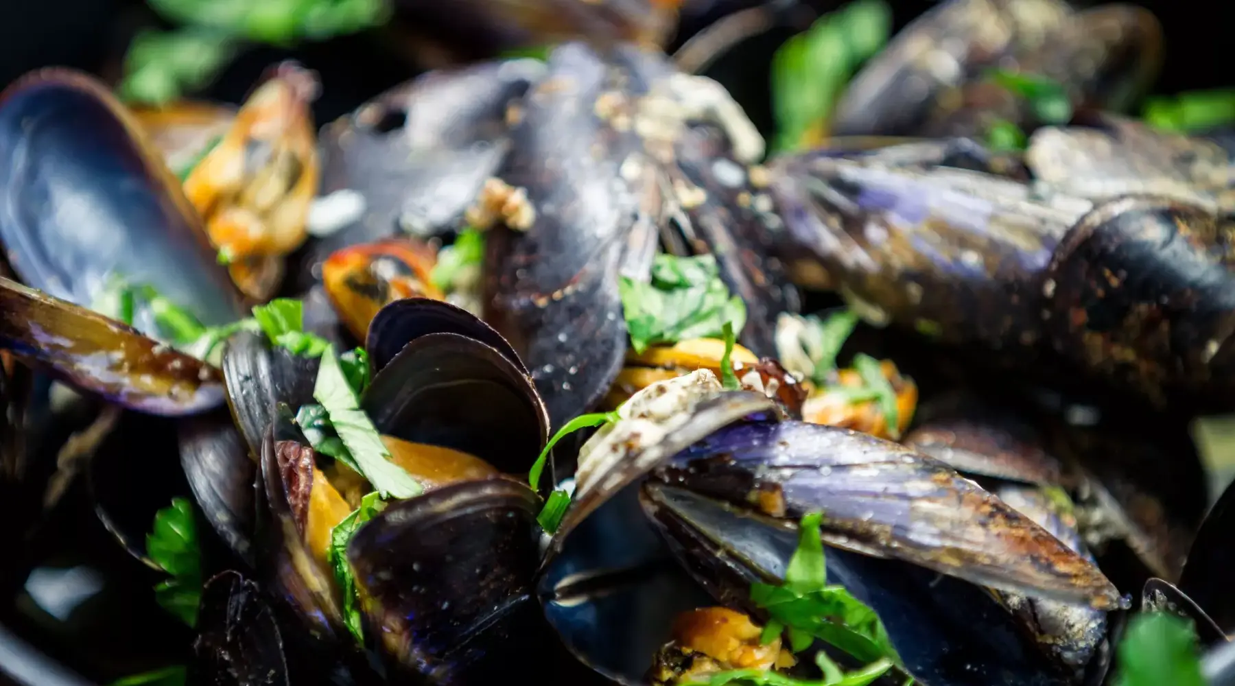 Mussel season