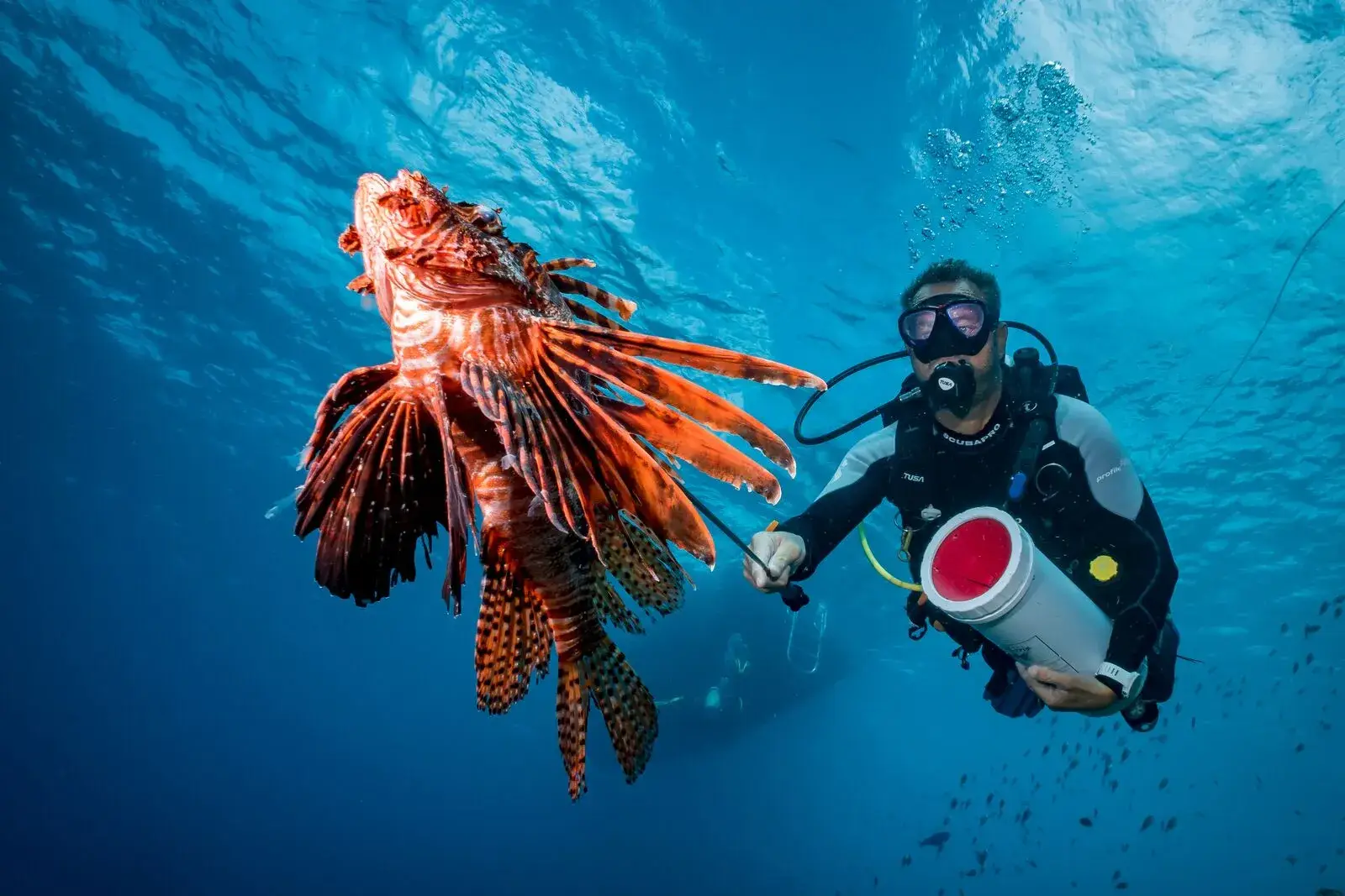 Washington Slagbaai Nationaal Park