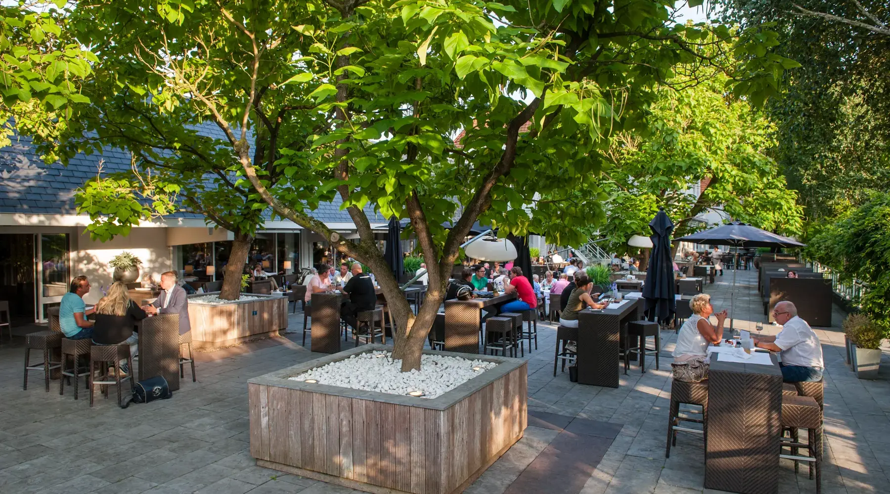 Terras