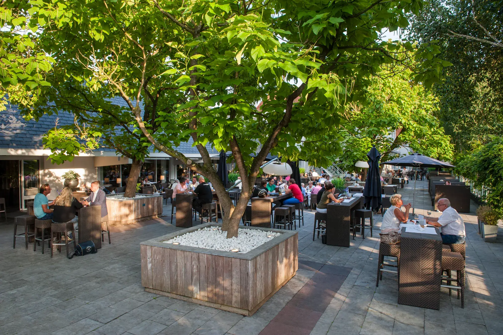 Terras