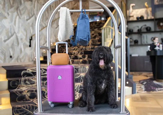 Menschen im Restaurant