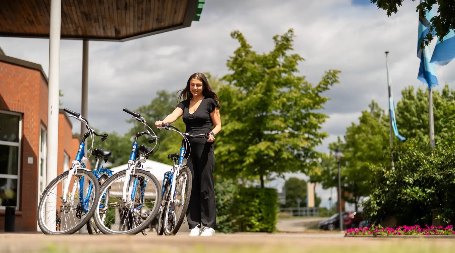 Bike rental