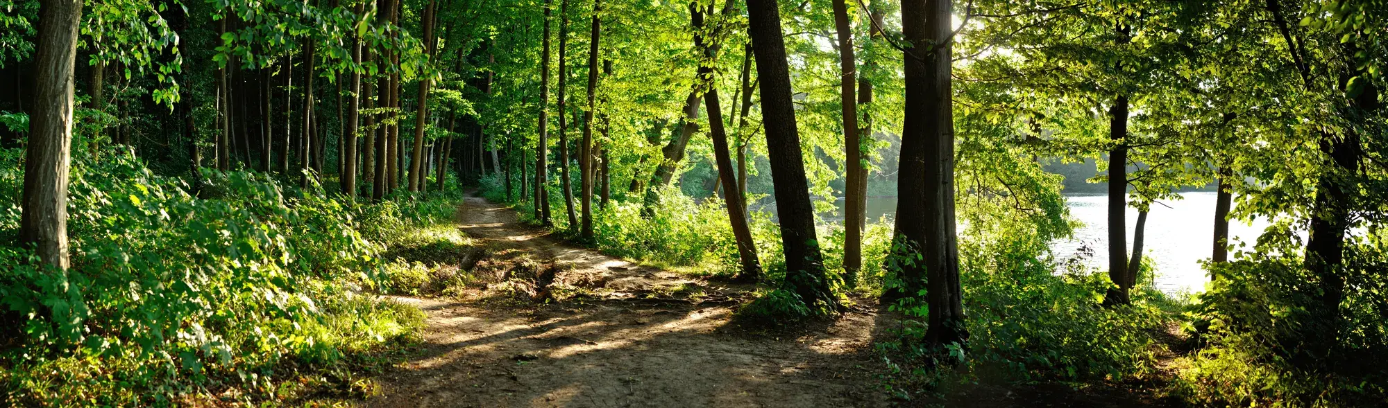 Our environmental commitment at the Naturresort Drewitz