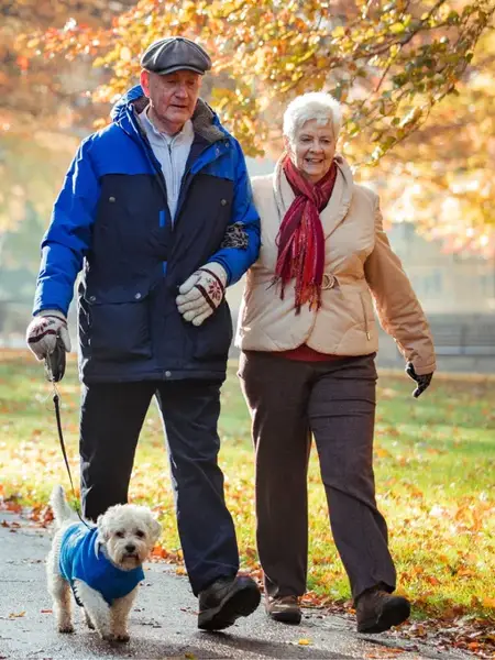 Walk with the dog