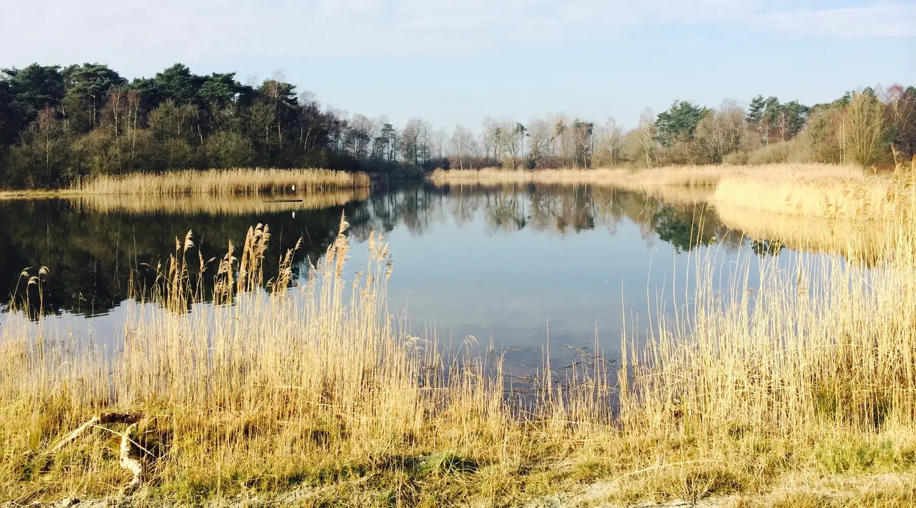 Nature reserve near Bakel