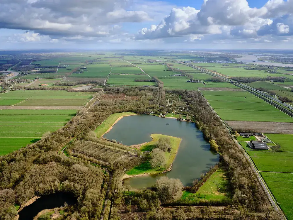 Het Lingebos