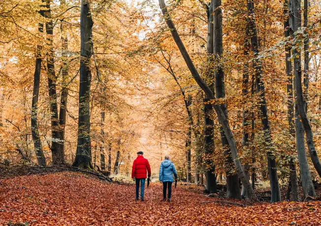 omgeving_hotellelystad_herfst