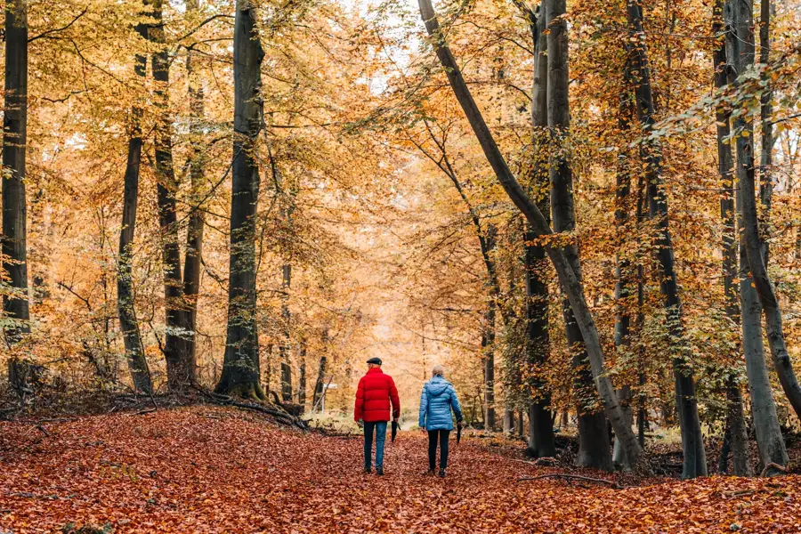 Heerlijke Herfst Van der Valk Zuidbroek