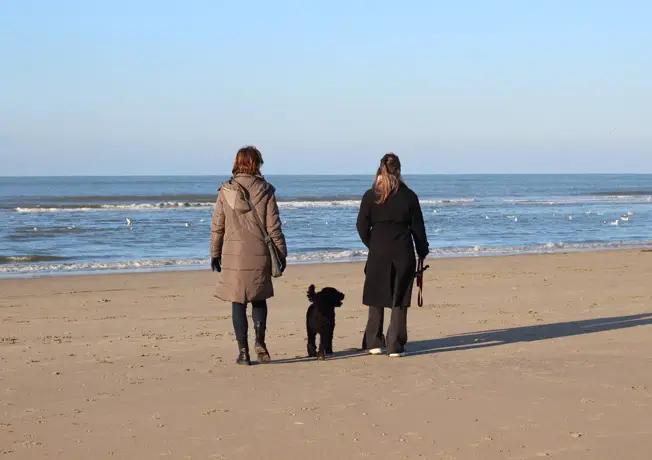 Koppel wandelt hand in hand op het strand