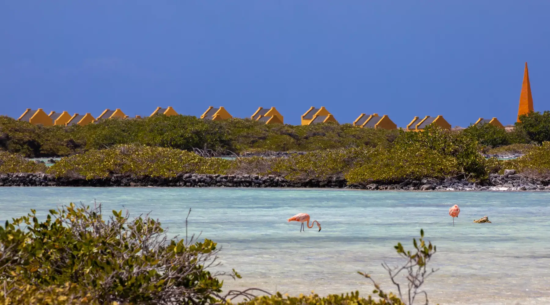 Slagbaai national park