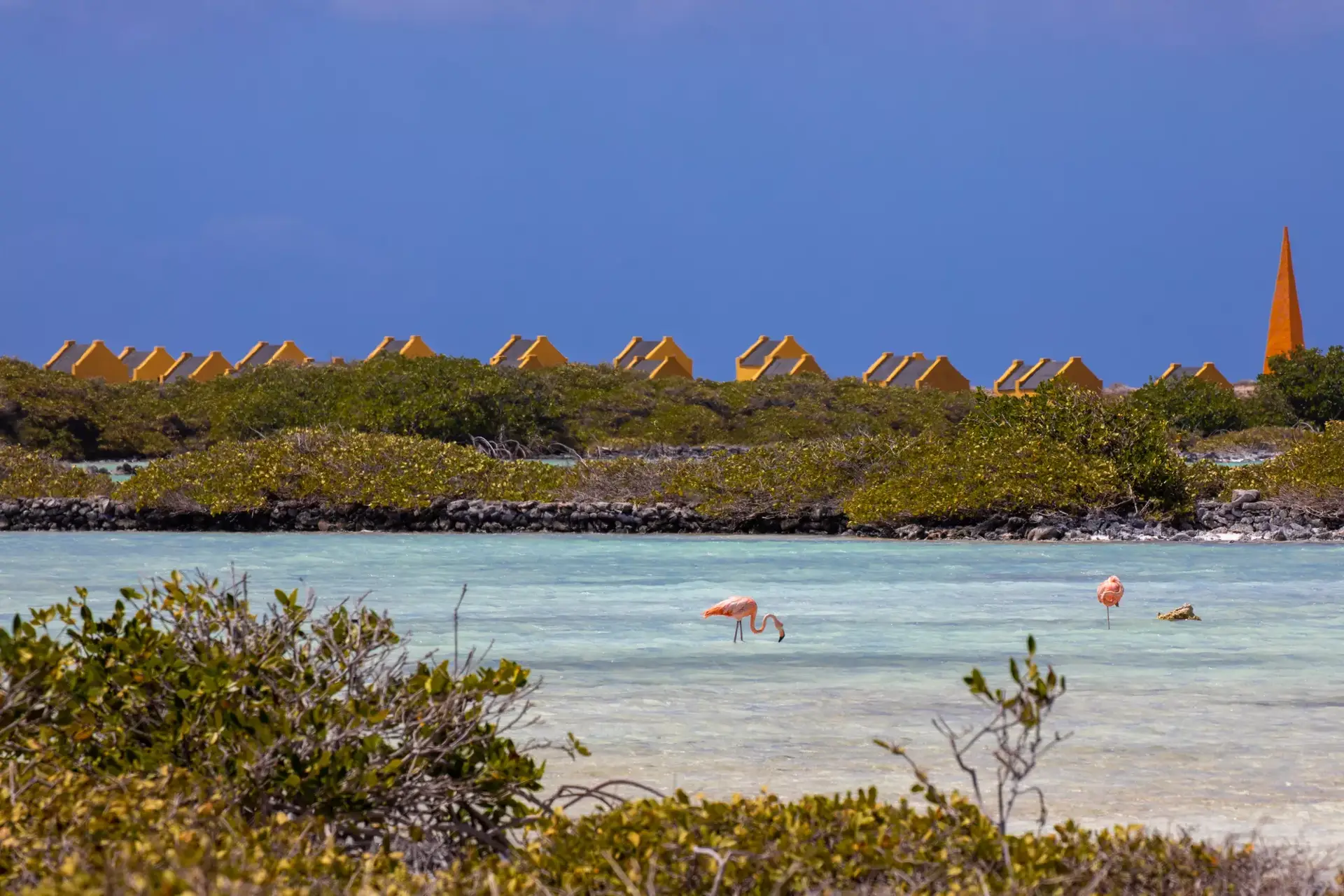 Washington Slagbaai Nationaal Park