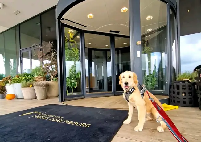 Man with dog in nature