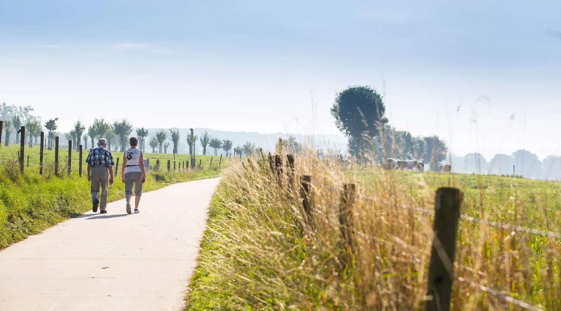 Spazierendes Paar in den Niederlanden