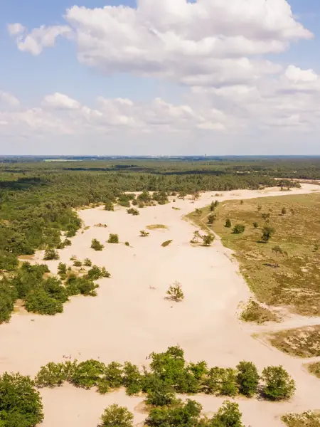Loonse en Drunense Duinen