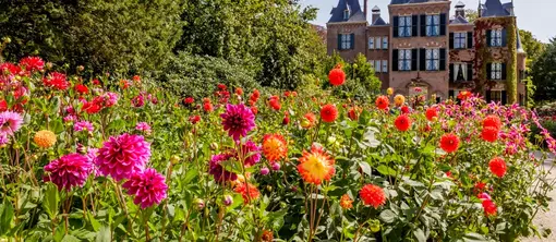 _media_filer_public_thumbnails_filer_public_2d_7c_2d7cf912-3a52-4252-9a45-d8d4cce20250_170504llu2228jpg__1200x1200_q85