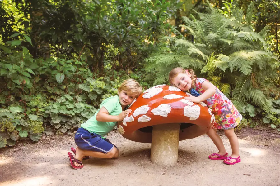 Falke in der Nähe von Efteling