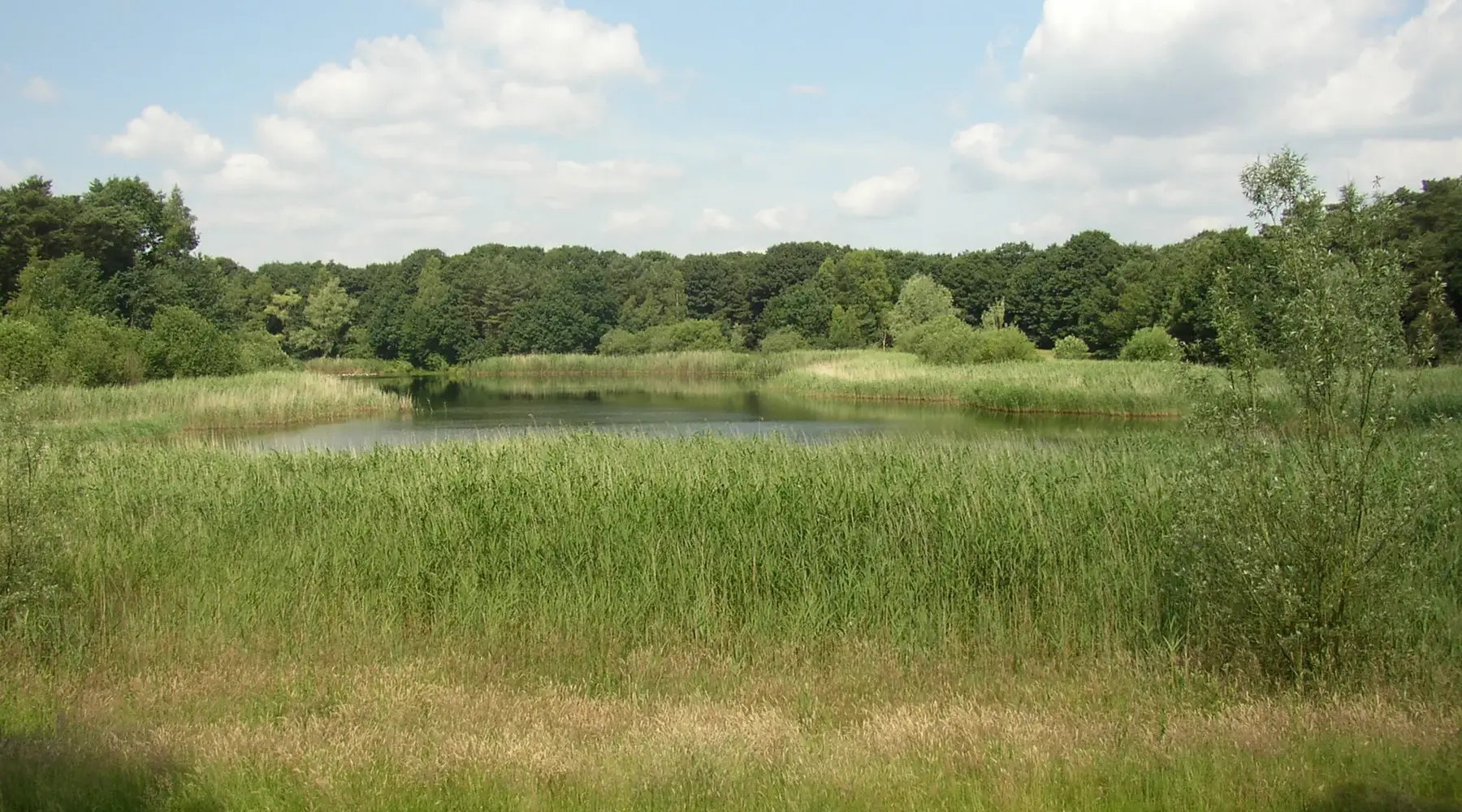 Klein zwitserland