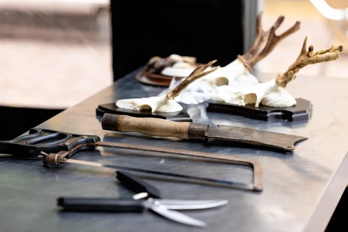 Game Event | Game Demonstrations | Passie voor Wild
