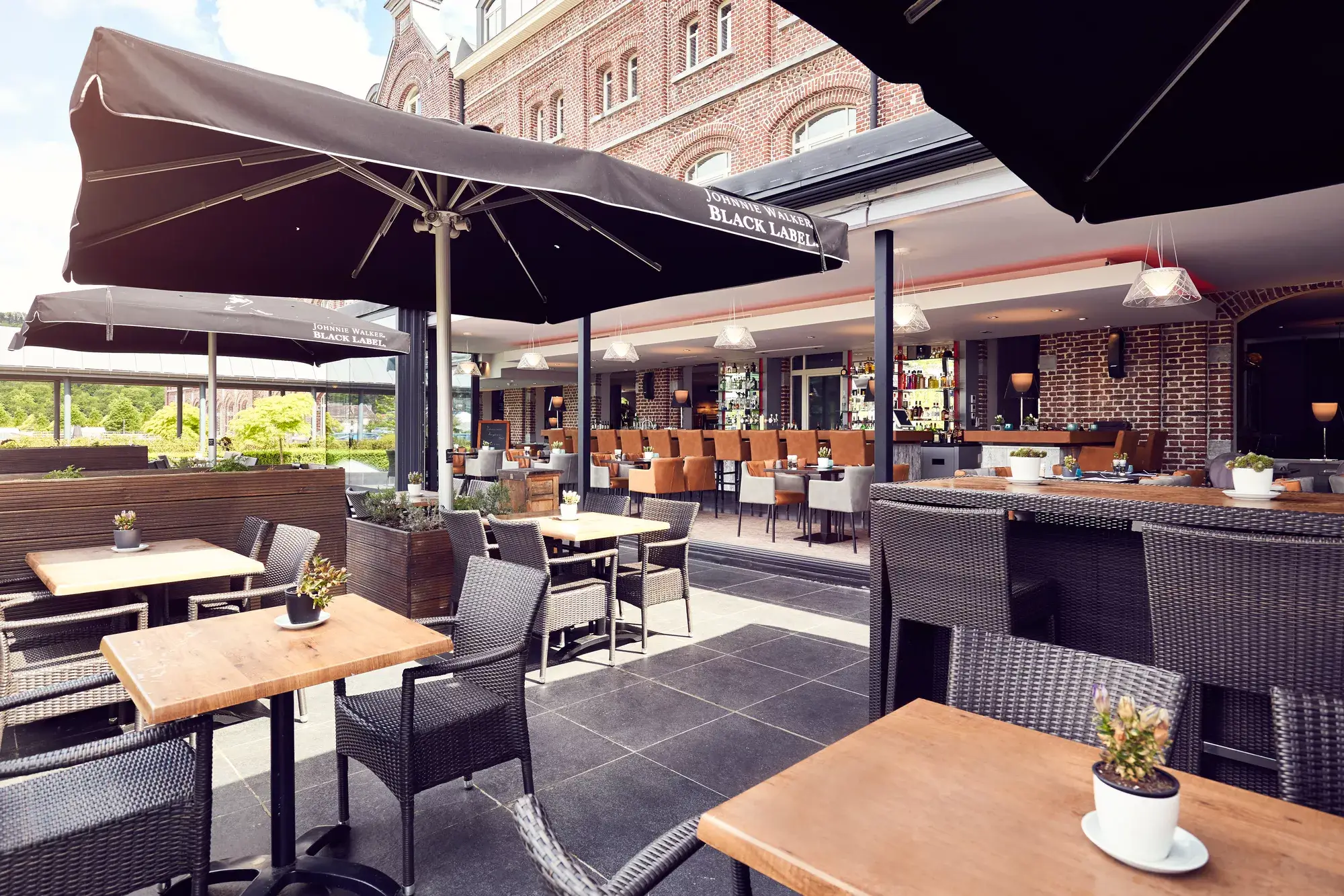 Terras