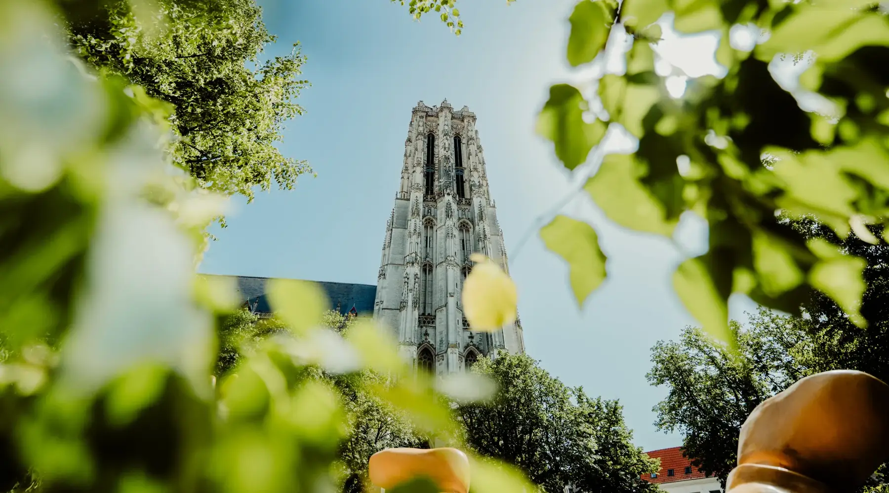 Hoog Zomer