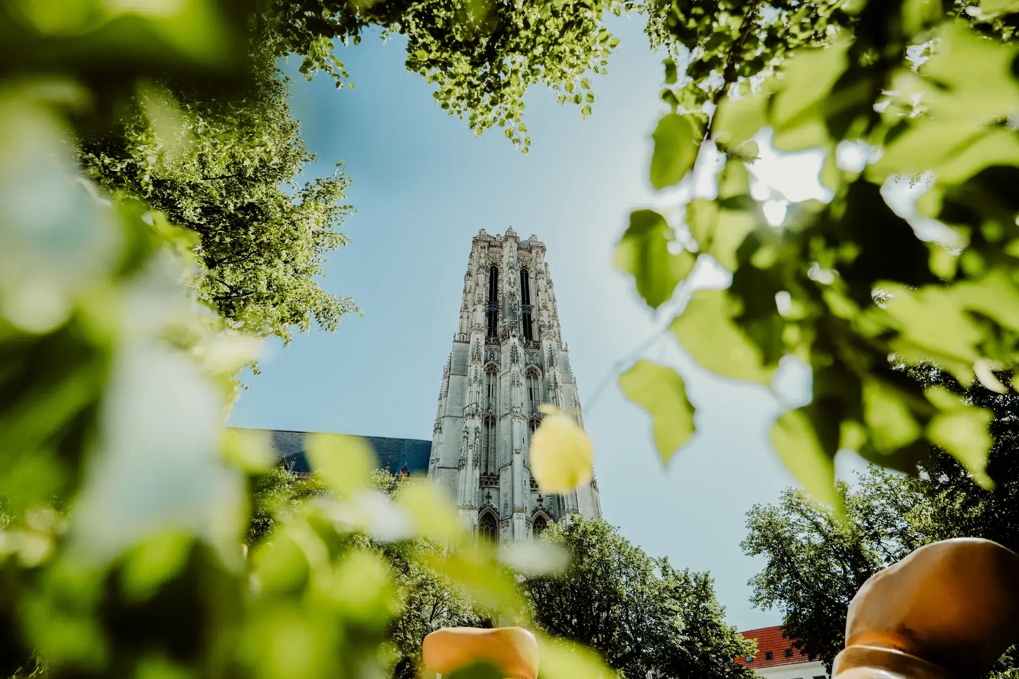 Hoog Zomer