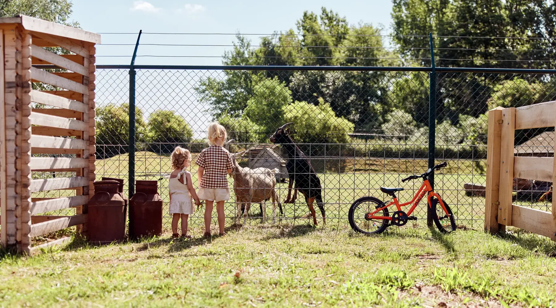 Kinder op een boerderij