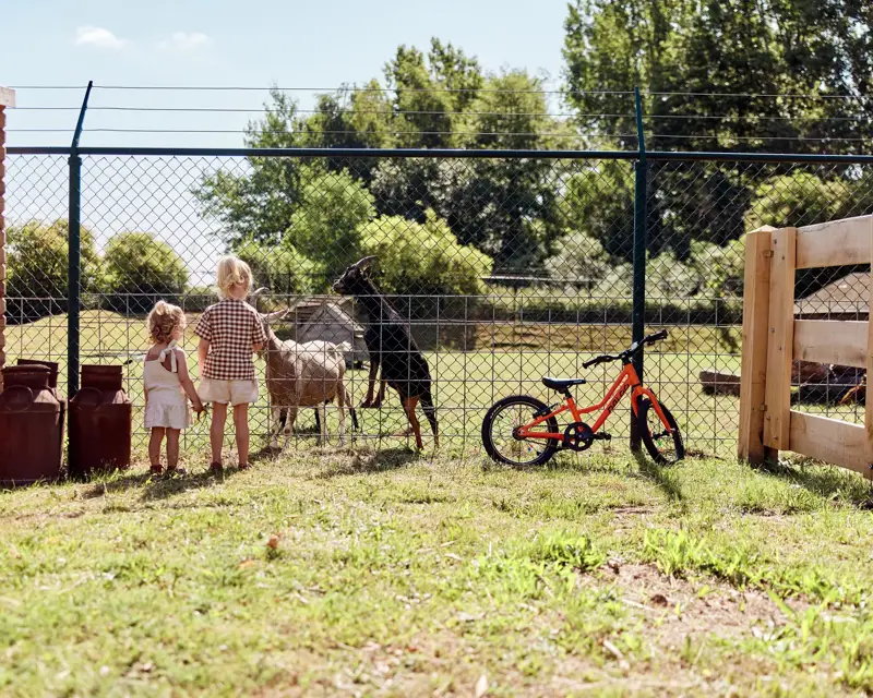 Children at a petting zoo