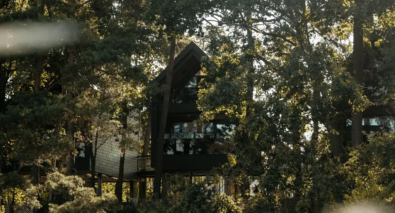 Luxury treehouse suites