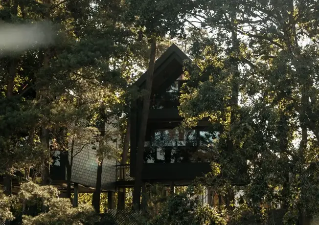 Luxe treehouse suites