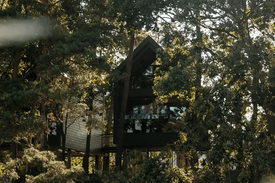 Luxe treehouse suites