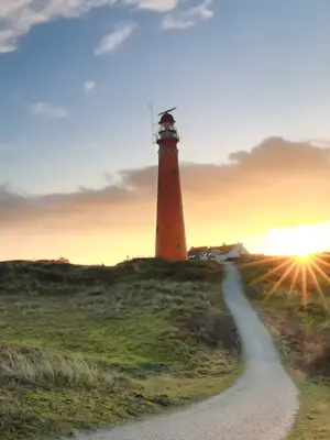 steden en natuur